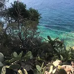 Il Polpoleo In Isola D'elba アパート ポルト・アッズッロ