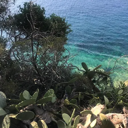 Il Polpoleo In Isola D'elba 公寓 阿祖罗港