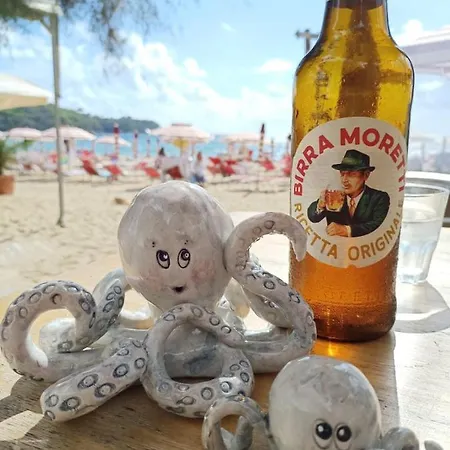 Il Polpoleo In Isola D'elba * 阿祖罗港