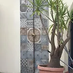 Il Polpoleo In Isola D'elba Apartment *