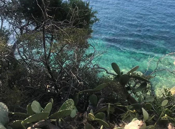 Il Polpoleo In Isola D'elba Апартаменты Порт-Аццурро